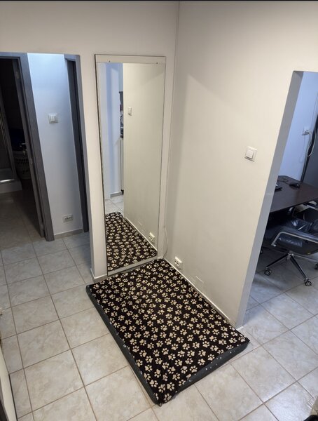 Brancoveanu, Lamotesti,